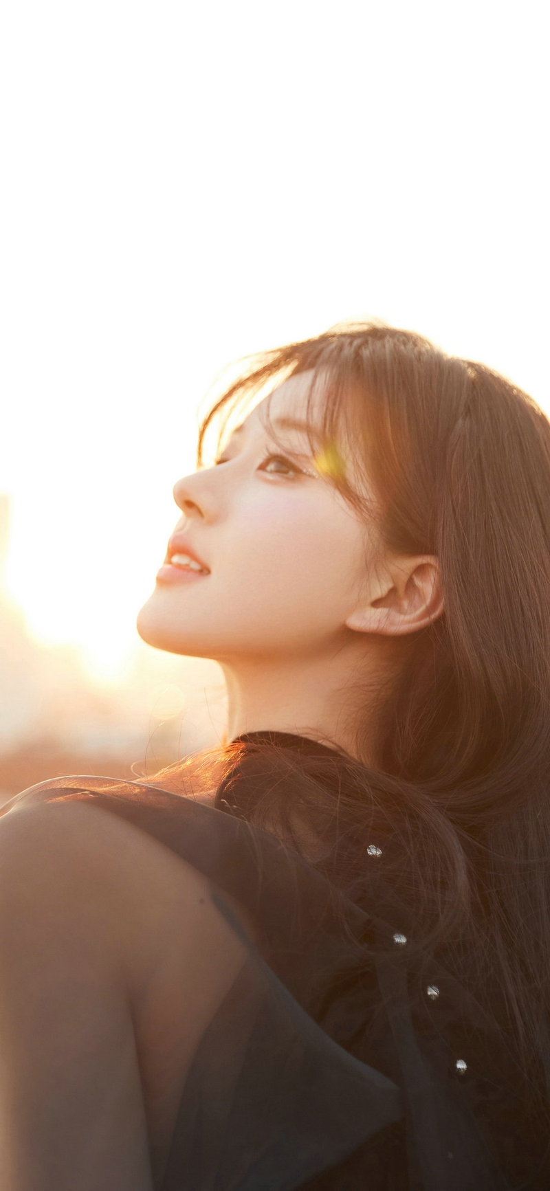 打黑重案组全部演员表