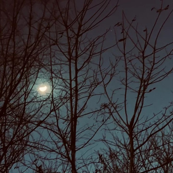 韩国明星发型女中短发