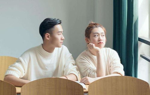 高虎电视剧 高虎电视剧里面有婷婷的是什么电视剧