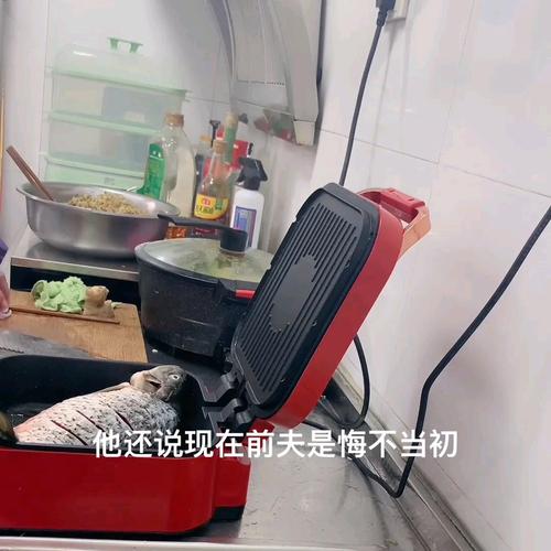 解姓氏读音是什么