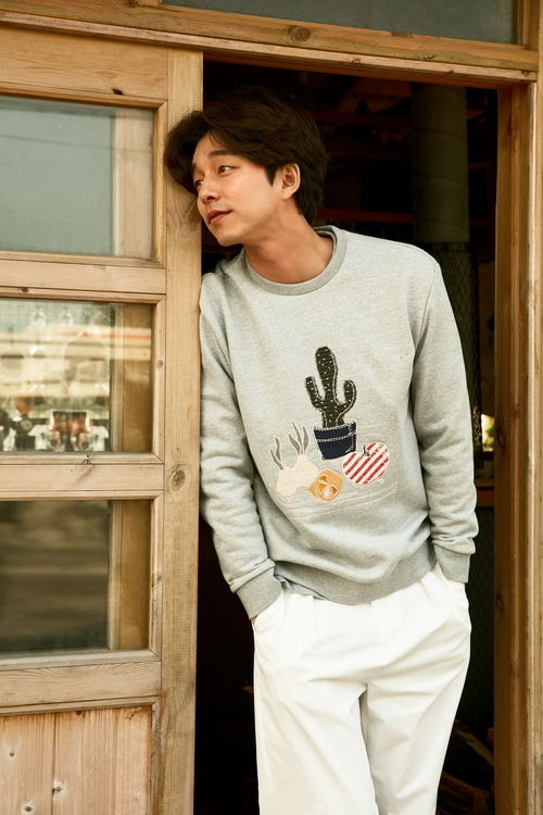 北京爱情故事讲了什么 北京爱情故事讲了什么