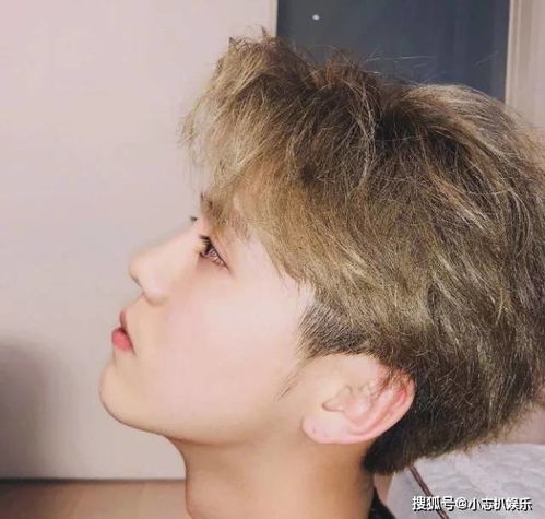 典狱司音频怪物 典狱司音频怪物老九门