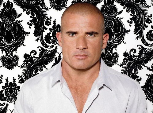 徐洪浩微博_徐洪浩微博动态