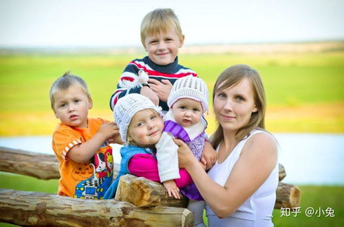 乡村爱情第十一部评价 乡村爱情第十一部评价