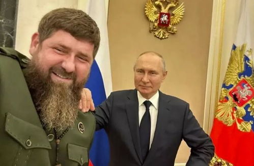 德云社演员学历一览表