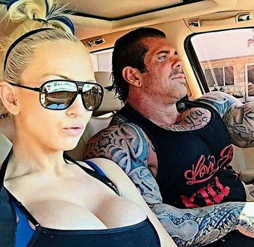 雪豹姊妹篇 雪豹的姊妹篇都有哪些电视剧