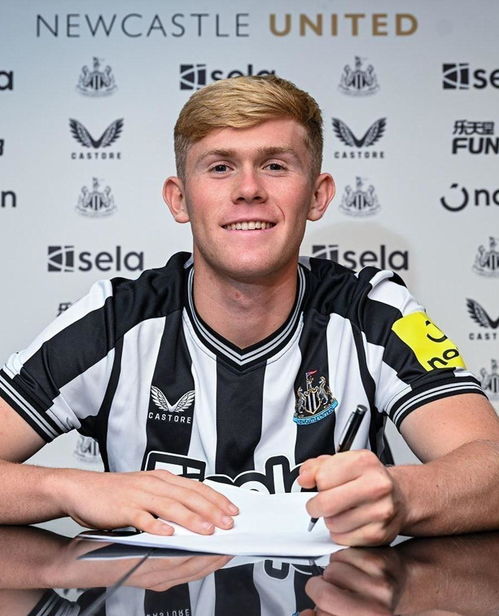 向华强为什么怕谢霆锋