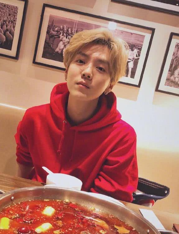 海贼王漫画可以在哪看