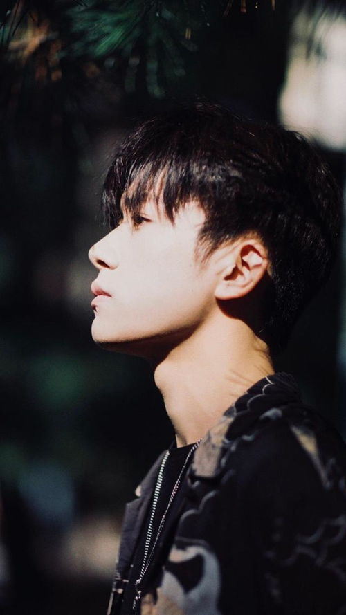 歌手杨宗纬_歌手杨宗纬近况如何