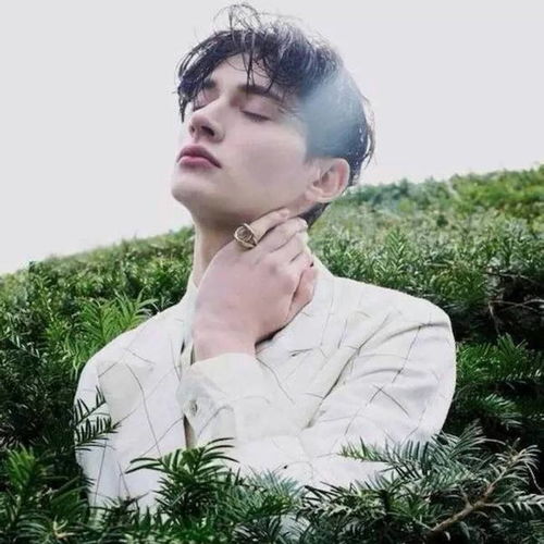 百万游戏_百万人生游戏