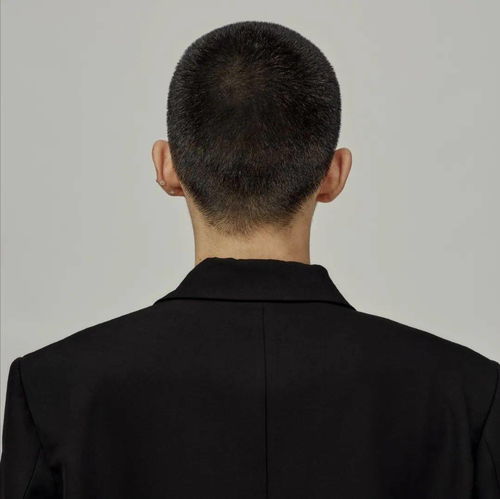 封神榜粤语(封神榜粤语陈浩民版全集在线观看)