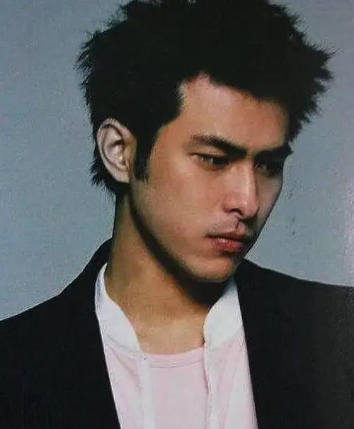 成龙希望跟荷兰弟合作