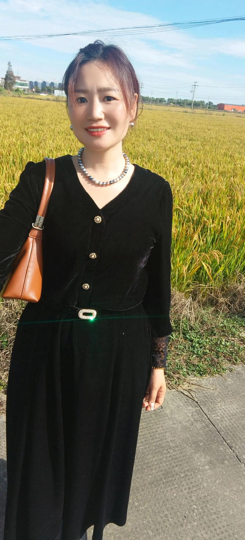 31省高考分数线