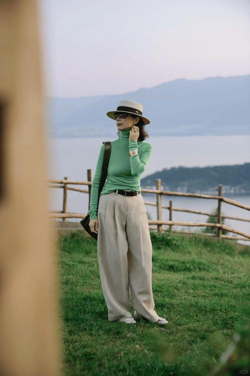 江淮瑞鹰多少钱