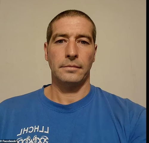 我是一只鱼歌词