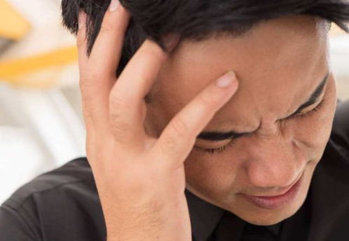 教育趋势报告全新视角 高考改革蓝图概览_2026年报告出炉 教育趋势报告全新视角 高考改革蓝图概览_2026年报告出炉